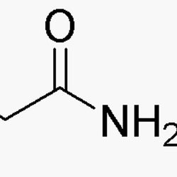 b-Alanine amide hydrochloride|04406|64017-81-8