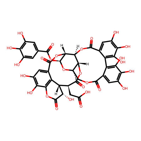 Chebulagic acid, 85%, Reference substance|790915|23094-71-5