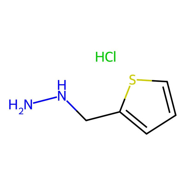 [(Thiophen-2-yl)methyl]hydrazine hydrochloride|CS-0240121|259535-14-3