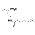 H-Dab(hexanoyl)-OH|30709