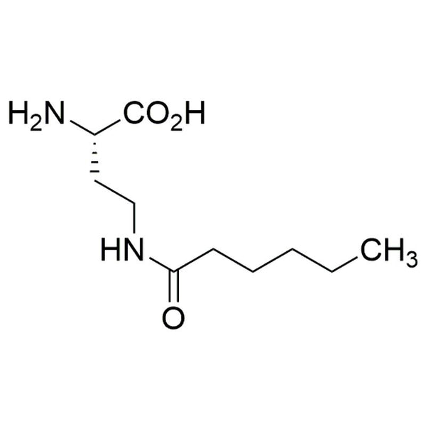 H-Dab(hexanoyl)-OH|30709