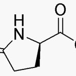 D-Pyroglutamic acid ethyl ester|04448|68766-96-1