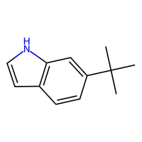 6-(tert-Butyl)-1H-indole|CS-0187177|887581-54-6