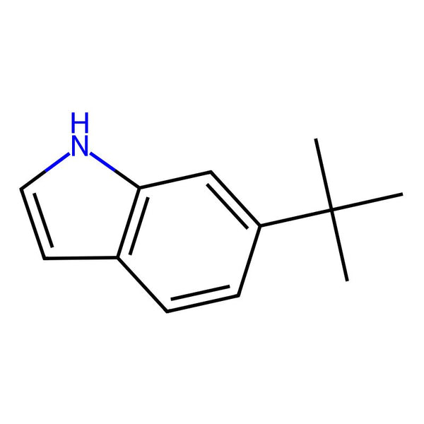 6-(tert-Butyl)-1H-indole|CS-0187177|887581-54-6