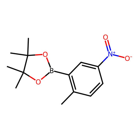 2-Methyl-5-nitrophenylboronic acid,pinacol ester, 98%|1004799|957062-84-9