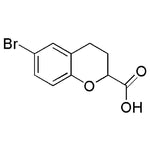 6-Bromochroman-2-carboxylic acid|26228|99199-54-9