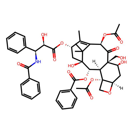 19-Hydroxy Paclitaxel|C4X-184256|409319-62-6
