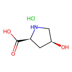 cis-4-Hydroxy-L-proline (hydrochloride)|CS-0028245|441067-49-8