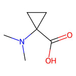 1-(Dimethylamino)cyclopropanecarboxylic acid|CS-W021255|119111-65-8