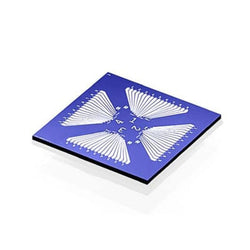 Graphene Field-Effect Transistor (GFET) Chip - Quadrant pattern|06-2560|1034343-98-0