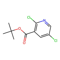 1,1-Dimethylethyl 2,5-dichloro-3-pyridinecarboxylate|CS-0646853|2089378-26-5