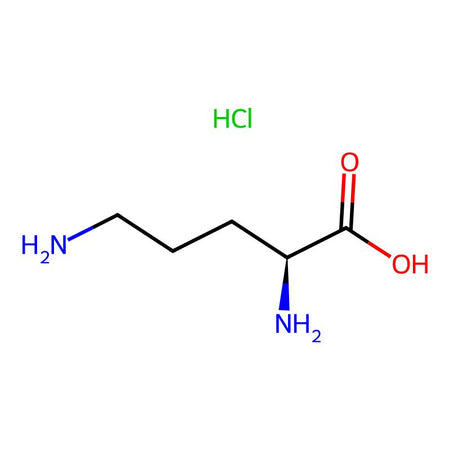 Lysine Impurity 15|C4X-221115|3184-13-2