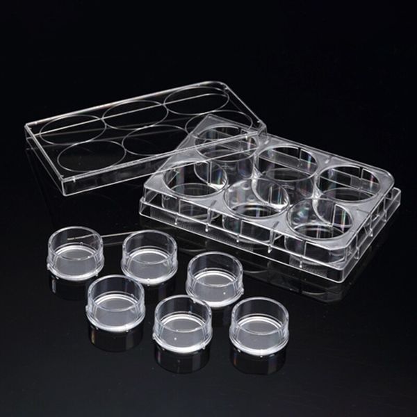 SPLInsert? Standing, 6 Inserts/6 well plate, PET, 0.4μm, Growth Area 4.06?, 2~6ml, Transparent, Sterile|37306