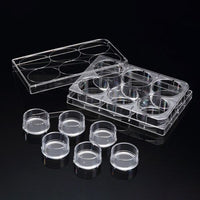 SPLInsert? Standing, 6 Inserts/6 well plate, PET, 8μm, Growth Area 4.06?, 2~6ml, Transparent, Sterile|37506