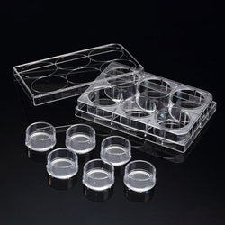 SPLInsert? Standing, 6 Inserts/6 well plate, PET, 8μm, Growth Area 4.06?, 2~6ml, Transparent, Sterile|37506