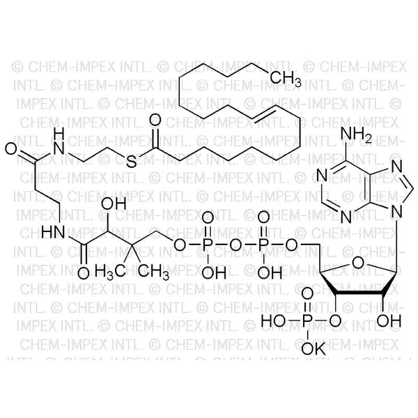 Oleoyl coenzyme A potassium salt|01893|1716-06-9