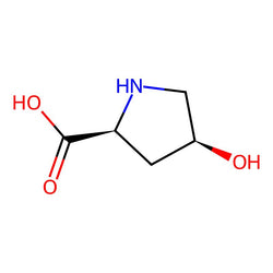 cis-4-Hydroxy-L-proline, 98%|176032|618-27-9
