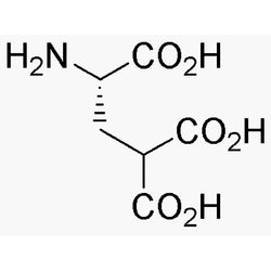 L-g-Carboxyglutamic acid|03320|53861-57-7