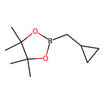 2-(Cyclopropylmethyl)-4,4,5,5-tetramethyl-1,3,2-dioxaborolane|CS-0504702|1344115-77-0