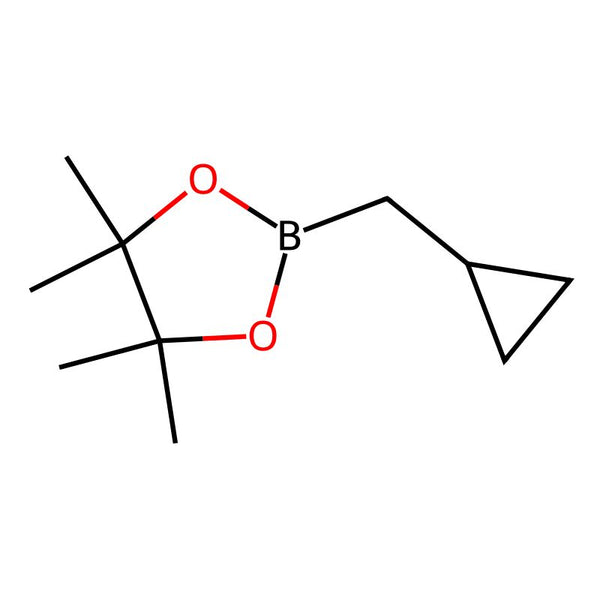 2-(Cyclopropylmethyl)-4,4,5,5-tetramethyl-1,3,2-dioxaborolane|CS-0504702|1344115-77-0