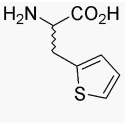 b-(2-Thienyl)-DL-alanine|03432|2021-58-1
