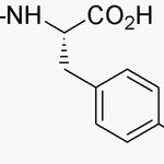 Fmoc-4-nitro-L-phenylalanine|02447|95753-55-2