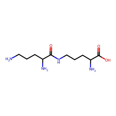 L-Ornithine Dimer|C4X-25368|195868-13-4
