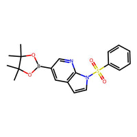 1-(Phenylsulfonyl)-5-(4,4,5,5-tetramethyl-1,3,2-dioxaborolan-2-yl)-1H-pyrrolo[2,3-b]pyridine|CS-B1353|2058052-40-5