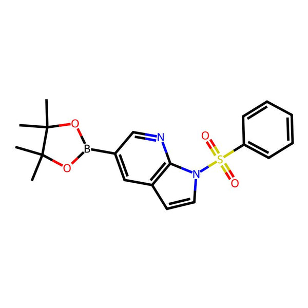 1-(Phenylsulfonyl)-5-(4,4,5,5-tetramethyl-1,3,2-dioxaborolan-2-yl)-1H-pyrrolo[2,3-b]pyridine|CS-B1353|2058052-40-5
