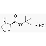 D-Proline tert-butyl ester hydrochloride|04446|184719-80-0