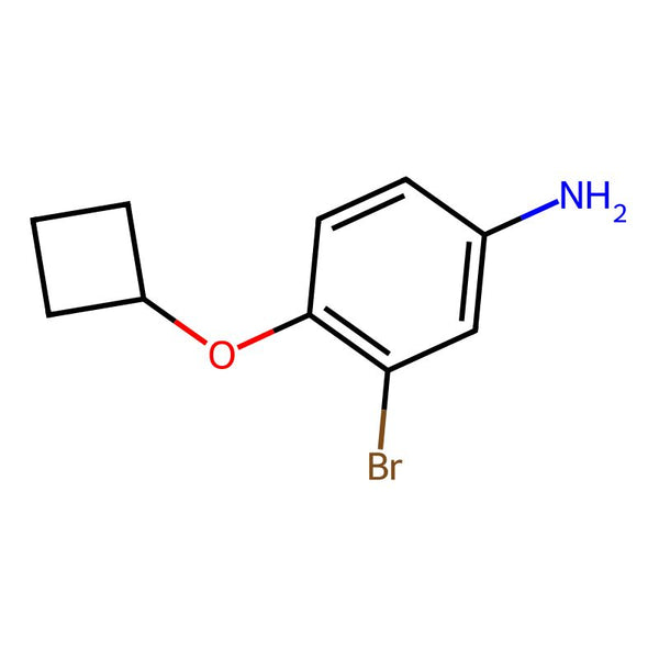 3-Bromo-4-cyclobutoxyaniline|CS-0284084|1247716-37-5