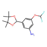 3-(Difluoromethoxy)-5-(4,4,5,5-tetramethyl-1,3,2-dioxaborolan-2-yl)aniline|CS-0611079|1269233-12-6
