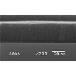 Carbon nanotube array, multi-walled, on quartz (diameter= 100nm, length=30 microns )|06-0440|308068-56-6