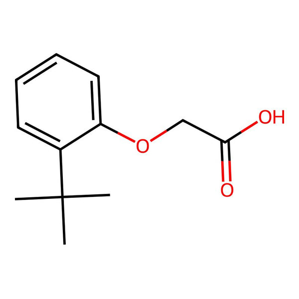 2-(2-(tert-Butyl)phenoxy)acetic acid|CS-0695399|19271-90-0