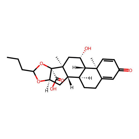 Budesonide Impurity 19 (Mixture of Epimer)|C4X-138919|192057-49-1