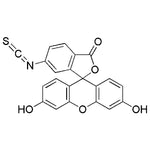 Fluorescein 6-isothiocyanate|14812|3012-71-3