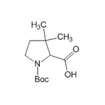 1-(tert-Butoxycarbonyl)-3,3-dimethylpyrrolidine-2-carboxylic acid|CS-0203639|143979-40-2