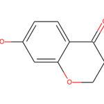 7-Hydroxychroman-4-one|CS-W022545|76240-27-2