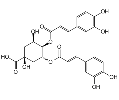 Isochlorogenic acid B, 98%, from Lonicera japonica Thunb.|795900|14534-61-3
