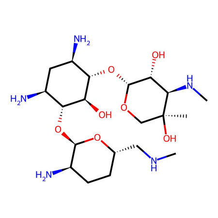 Gentamicin C2b|C4X-148026|52093-21-7