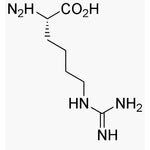 L-Homoarginine|03989|156-86-5