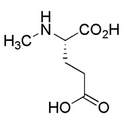 N-Methyl-L-glutamic acid|06345|6753-62-4