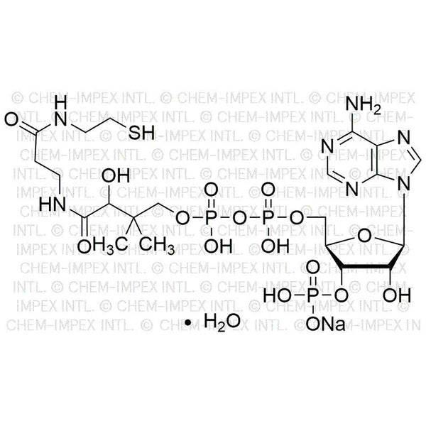 Coenzyme A sodium salt hydrate|01534|55672-92-9