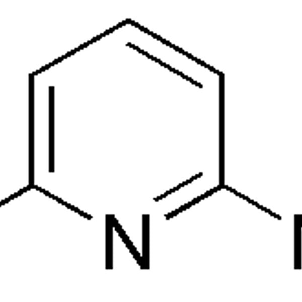 2-Amino-6-bromopyridine|24610|19798-81-3