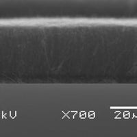 Carbon nanotube array, multi-walled, on quartz (diameter= 100nm, length=30 microns )|06-0440|308068-56-6