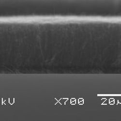 Carbon nanotube array, multi-walled, on quartz (diameter= 100nm, length=30 microns )|06-0440|308068-56-6