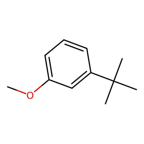1-tert-Butyl-3-methoxybenzene|CS-M0566|33733-83-4
