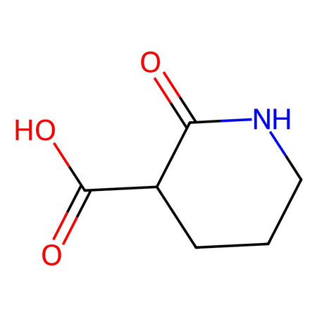 2-Oxopiperidine-3-carboxylic acid|C1919114|41888-21-5