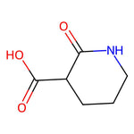 2-Oxopiperidine-3-carboxylic acid|CS-0186681|41888-21-5
