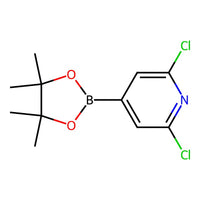 2,6-Dichloro-4-(4,4,5,5-tetramethyl-1,3,2-dioxaborolan-2-yl)pyridine|CS-W010088|408492-27-3